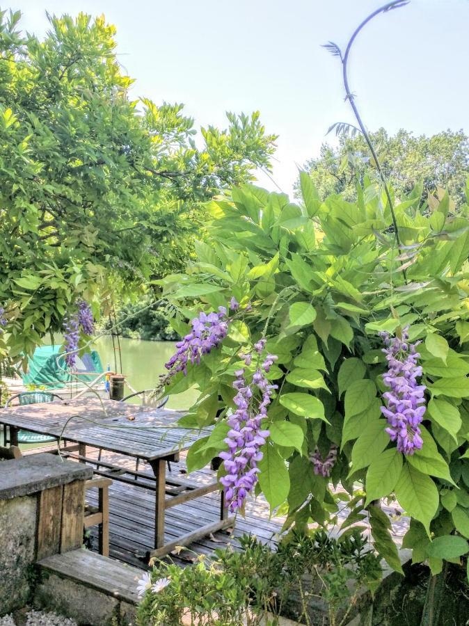 Quai Des Fleurs Bed & Breakfast Saint-Savinien Exterior photo
